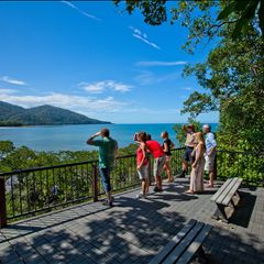 Cape Tribulation-5
