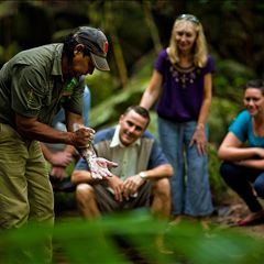 Daintree Walkabout-1