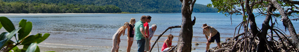 Atherton tablelands