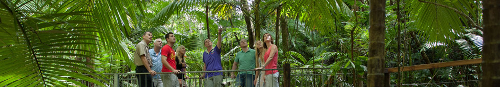 Atherton tablelands