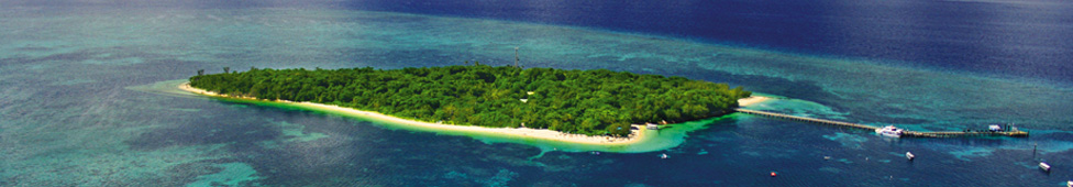 Big Cat: Green Island Reef Cruise - Full Day
