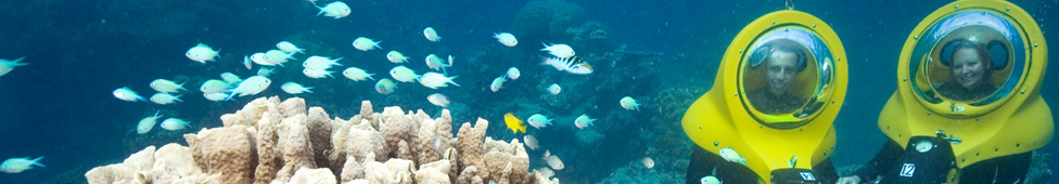 Great Adventures: Great Barrier Reef Adventure