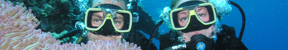 Pro Dive: Liveaboard 3 Day 2 Night