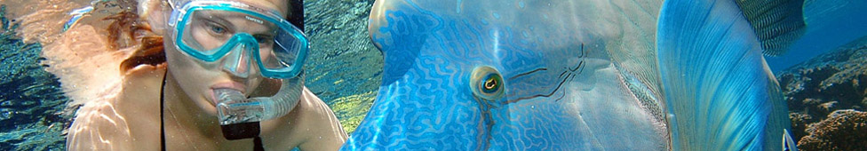 Reef Magic Cruises: Marine World Outer Barrier Reef Cruise