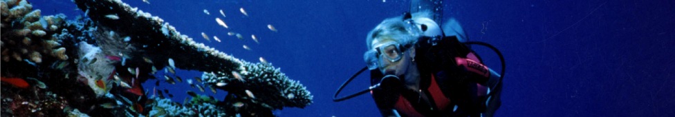 Tusa Dive: 4 Day PADI Learn to Dive