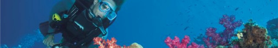 Poseidon: Outer Reef Cruise