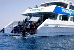 Tusa Dive: 4 Day PADI Learn to Dive