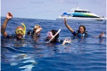 Tusa Dive: Outer Great Barrier Reef, Dive and Snorkel (snorkelling only)