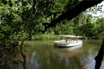4WD Cape Tribulation, Daintree & Mossman Gorge