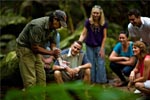 Daintree Rainforest