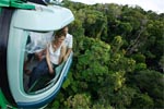Half Day Kuranda, Scenic Rail & Skyrail