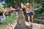 Wildlife Experiences