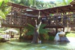 Kuranda, Scenic Rail, Rainforestation & Skyrail