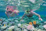 Great Barrier Reef Cruises