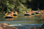 RnR Rafting: Barron River (Half Day)