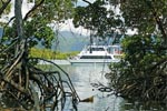 Cairns Harbour Cruises: Sunset Cruise