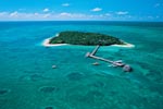 Big Cat: Green Island Reef Cruise - Half Day (AM)