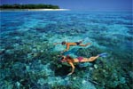 Big Cat: Green Island Reef Cruise - Full Day