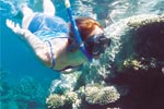 Great Adventures: Great Barrier Reef Adventure