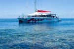 Passions of Paradise: Michaelmas Cay & Paradise Reef