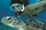 Poseidon: Outer Reef Cruise