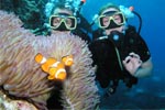 Pro Dive: PADI 5 Day Learn to Dive