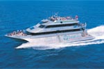 Quicksilver Cruises: Outer Barrier Reef Cruise