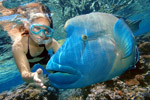 Reef Magic Cruises: Marine World Outer Barrier Reef Cruise
