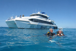 Silverswift: Dive and Snorkel Adventures