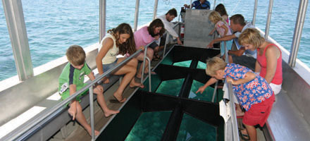Great Adventures, Green Island 5
