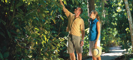 Great Adventures, Green Island 6