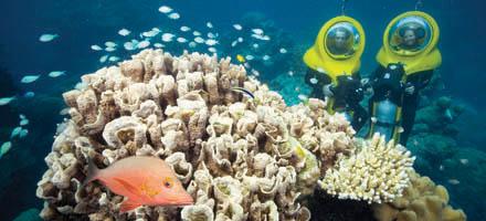 Great Adventures, Outer Barrier Reef 1
