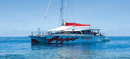 Passions 6