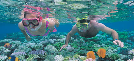 Quicksilver, Outer Barrier Reef 5