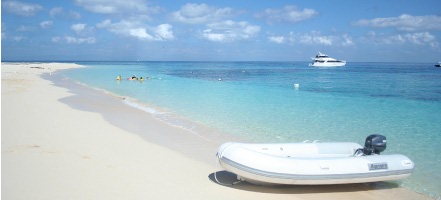 Sea Star 1