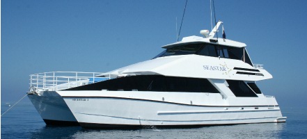 Sea Star 2
