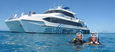 Silver Swift 2