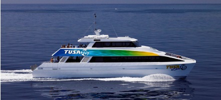 Tusa 6