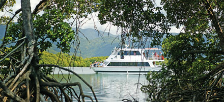 Big Cat, Crocodile Explorer 3
