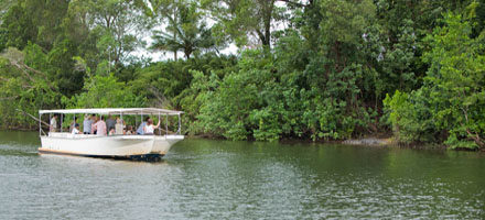 Cape Tribulation 2