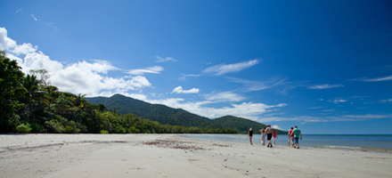 Cape Tribulation 4