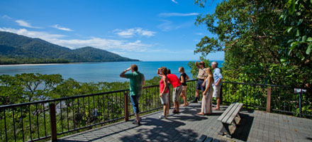 Cape Tribulation 5