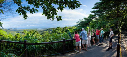 Cape Tribulation 6