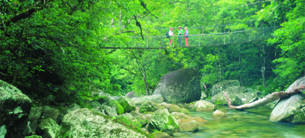 Cape Tribulation 8