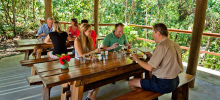 Cape Tribulation By Appointment 3
