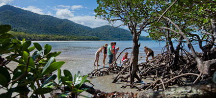 Cape Tribulation By Appointment 6