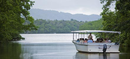 Daintree Walkabout 6