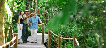 Kuranda Generic 7