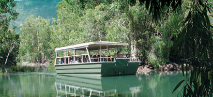 Hartleys Crocodile 1