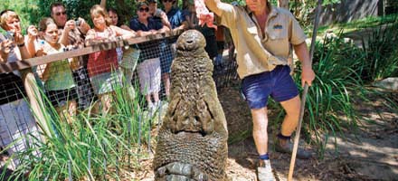 Hartleys Crocodile 2